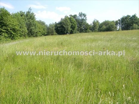 Działka rolna na sprzedaż Stare Rybie 8 600m2 Foto 1