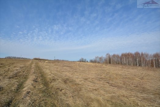 Działka rekreacyjna na sprzedaż Drohobyczka 5 800m2 Foto 1