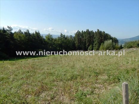 Działka budowlana na sprzedaż Mszana Dolna 6 177m2 Foto 1
