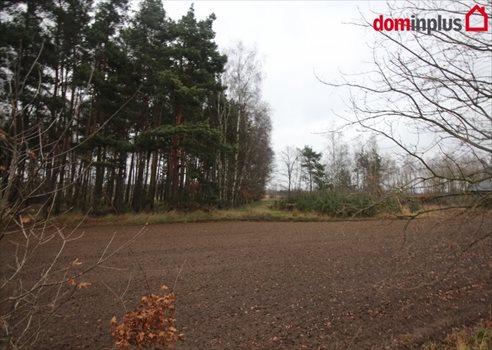 Działka inna na sprzedaż Zławieś Mała 3 005m2 Foto 2