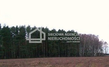 Działka leśna na sprzedaż Strzeczona 129 577m2 Foto 9