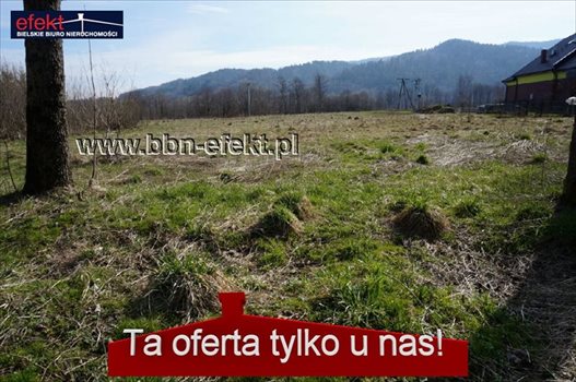 Działka inwestycyjna na sprzedaż Jeleśnia 3 310m2 Foto 1
