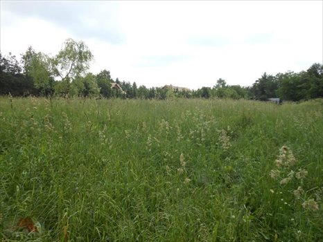 Działka budowlana na sprzedaż Łódź, Polesie 5 664m2 Foto 4