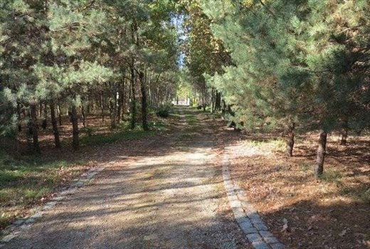 Dom na sprzedaż Mszczonów 180m2 Foto 8