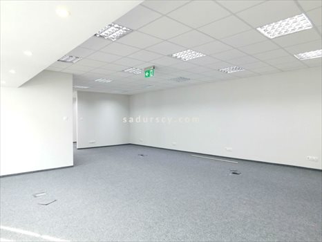 Lokal użytkowy na wynajem Piaseczno 590m2 Foto 5