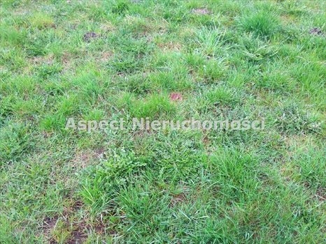 Działka inna na sprzedaż Żory, Baranowice 1 080m2 Foto 1