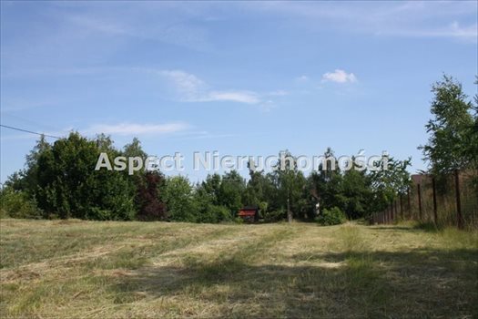 Działka budowlana na sprzedaż Matyldów 807m2 Foto 3