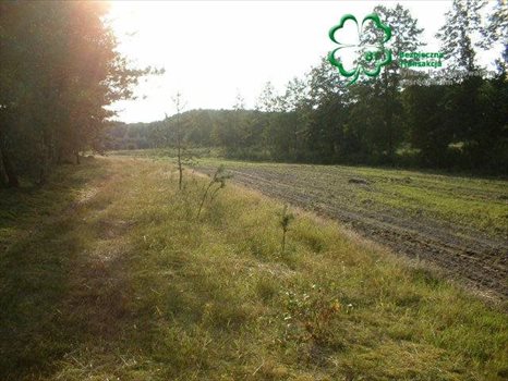 Działka budowlana na sprzedaż Silna, Silna 2 300m2 Foto 7