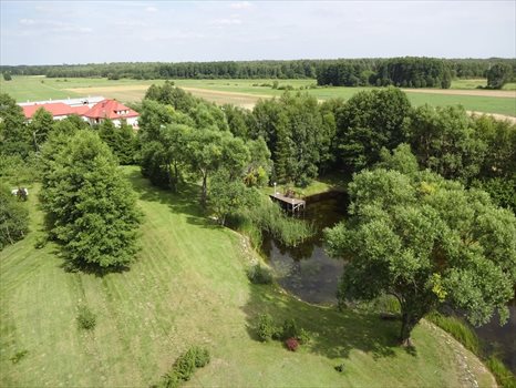 Działka rolna na sprzedaż Jaźwiny 521 469m2 Foto 3