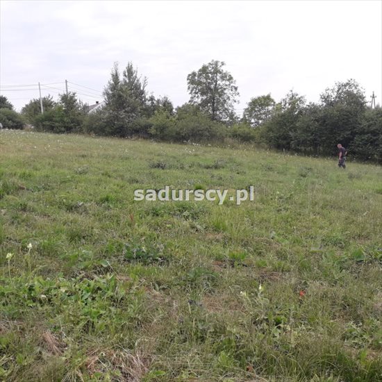 Działka budowlana na sprzedaż Sławkowice 3 547m2 Foto 1