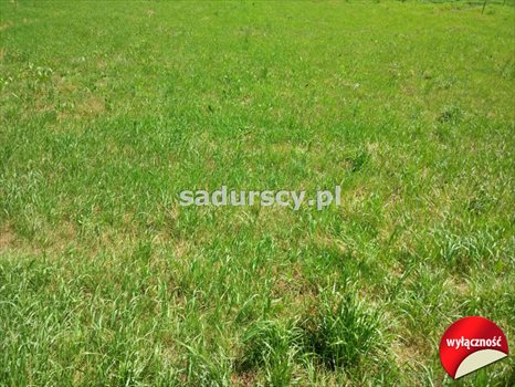 Działka budowlana na sprzedaż Giebułtów, Zarzecze 3 761m2 Foto 12