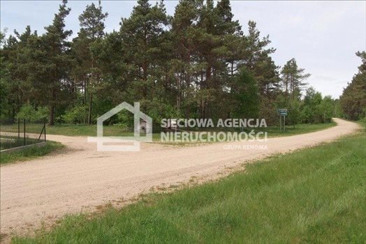 Działka leśna na sprzedaż Czarniż 44 100m2 Foto 11