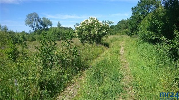 Działka budowlana na sprzedaż Przybyłowo 3 089m2 Foto 3