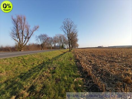 Działka inwestycyjna na sprzedaż Domasław, Oławska 7 000m2 Foto 6