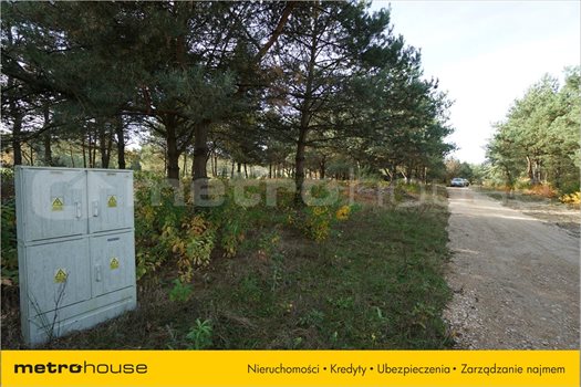 Działka rolna na sprzedaż Bechcice, Lutomiersk 1 000m2 Foto 2