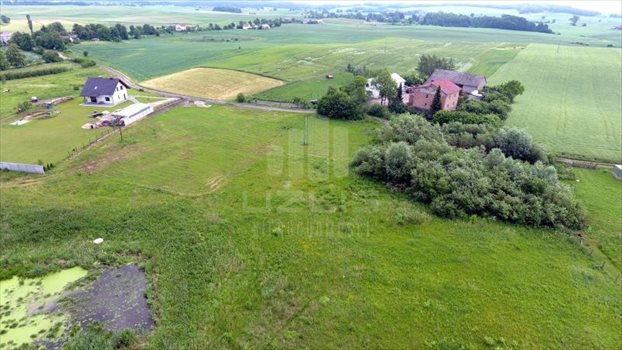 Działka inna na sprzedaż Gołębiewko 3 011m2 Foto 7