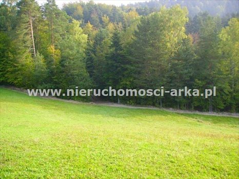 Działka budowlana na sprzedaż Kasinka Mała 2 300m2 Foto 2