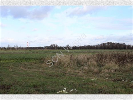 Działka rolna na sprzedaż Warszawa, Wilanów 4 388m2 Foto 10
