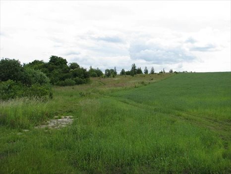Działka przemysłowo-handlowa na sprzedaż Jankowo Gdańskie, Przy Obwodnicy Trójmiejskiej 30 800m2 Foto 8