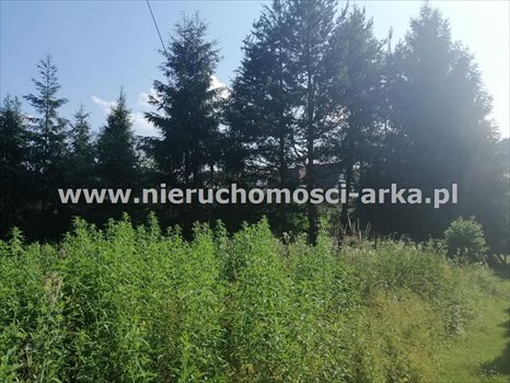 Działka budowlana na sprzedaż Szczawa 1 400m2 Foto 2