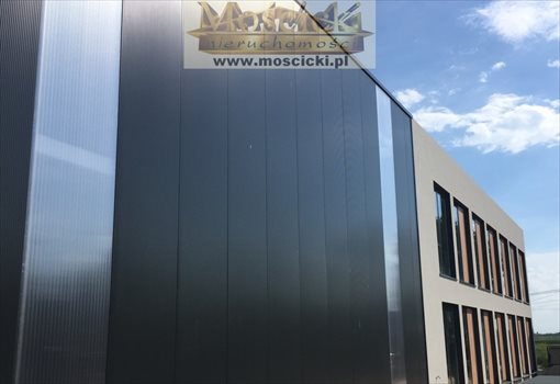 Lokal użytkowy na wynajem Warszawa, Ursynów 1 100m2 Foto 5