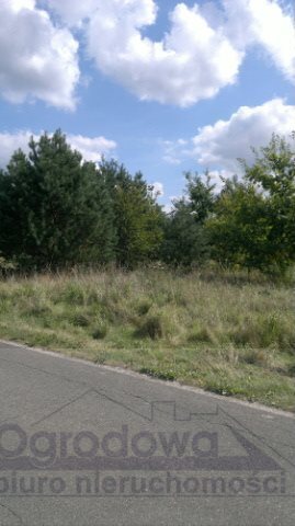 Działka rolna na sprzedaż Łoś 1 000m2 Foto 3