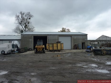 Działka inna pod dzierżawę Wrocław, Kowale 3 800m2 Foto 2
