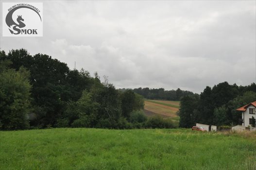 Działka budowlana na sprzedaż Gaj 1 000m2 Foto 2
