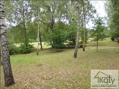 Działka budowlana na sprzedaż Mątki, Mątki, Mątki 4 300m2 Foto 7