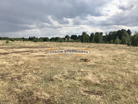 Działka siedliskowa na sprzedaż Stary Lubiel 7 400m2 Foto 2
