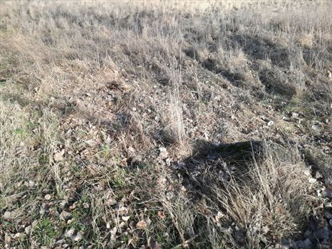 Działka inna na sprzedaż Połchowo 873m2 Foto 2