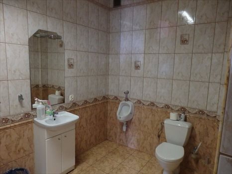Lokal użytkowy na wynajem Reguły 600m2 Foto 11
