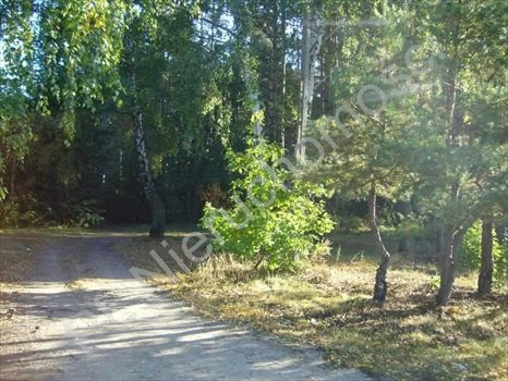 Działka budowlana na sprzedaż Przypki 20 000m2 Foto 3