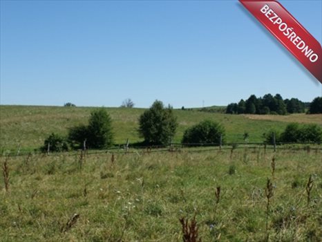 Działka inna na sprzedaż Piaski 7 600m2 Foto 2