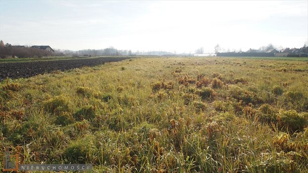 Działka budowlana na sprzedaż Zielonki 1 166m2 Foto 1