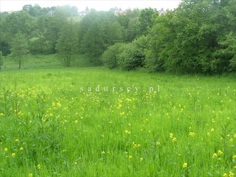 Działka rolna na sprzedaż Kraków, Podgórze, Romana Żelazowskiego 2 410m2 Foto 2