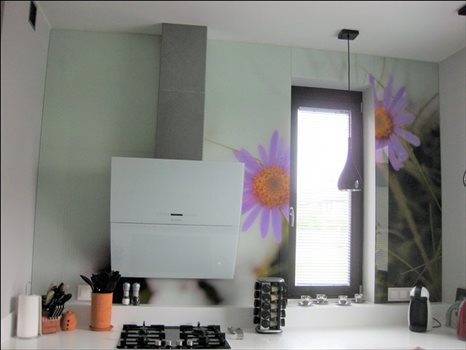 Dom na wynajem Bielawa, Konstancja, Niemena 320m2 Foto 5