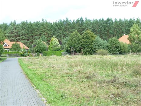 Działka budowlana na sprzedaż Wołczkowo 3 000m2 Foto 11