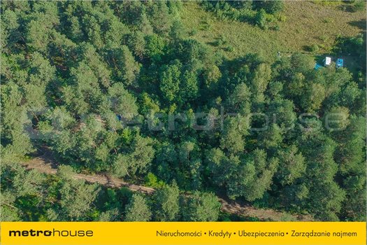Działka rekreacyjna na sprzedaż Żarki-Letnisko, Poraj 1 150m2 Foto 2