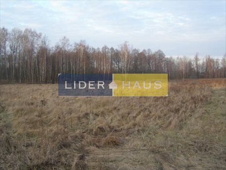 Działka inna pod dzierżawę Łomianki, Dąbrowa Zachodnia 10 000m2 Foto 3