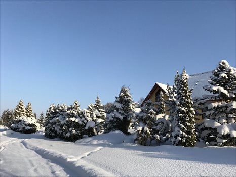 Dom na sprzedaż Nowa Karczma, Nowa Karczma 182m2 Foto 6