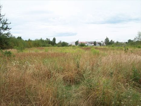 Działka budowlana na sprzedaż Wrocław, Maślice, Mieszkaniowa Dla Dewelopera 33 000m2 Foto 1