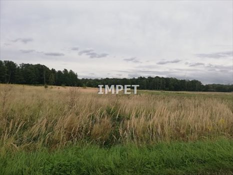 Działka inna na sprzedaż Zgorzelec 804m2 Foto 4