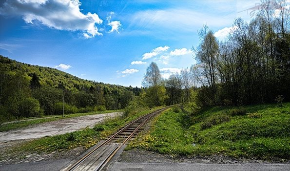 Działka inna na sprzedaż Przysłup 2 079m2 Foto 3