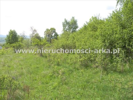 Działka budowlana na sprzedaż Limanowa 2 200m2 Foto 3