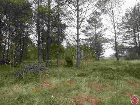 Działka budowlana na sprzedaż Kamień, Beżowa 1 152m2 Foto 4
