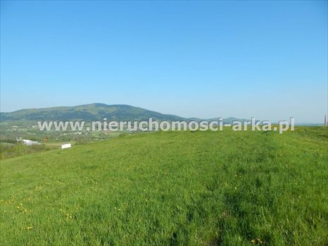 Działka budowlana na sprzedaż Skrzydlna 16 900m2 Foto 5