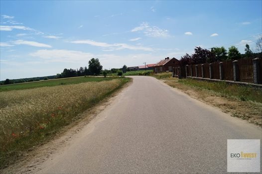 Działka budowlana na sprzedaż Winnica 2 300m2 Foto 5