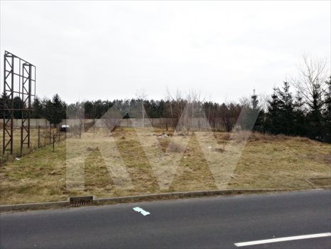 Lokal użytkowy na wynajem Poznań, Kotowo, Głogowska 1 200m2 Foto 7