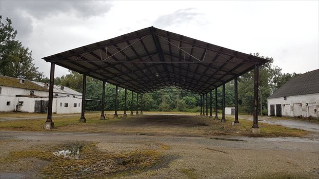 Lokal użytkowy na sprzedaż Szamotuły, Ludwikowo 4 200m2 Foto 7